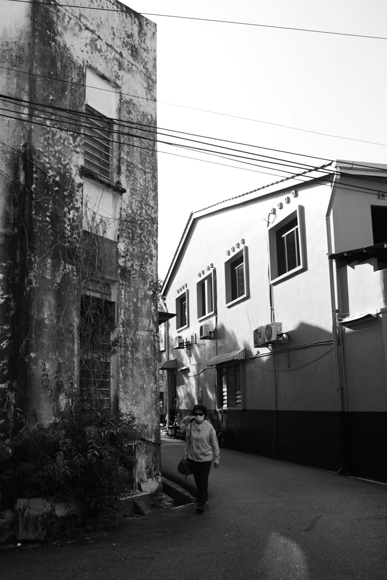 Why La Senia Is a Hidden Treasure
